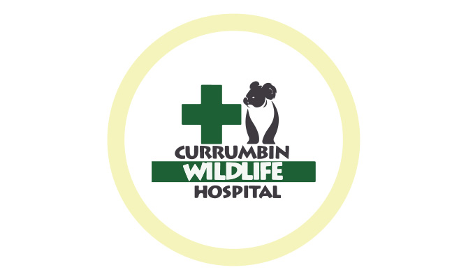 Currumbin Wildlife Hospital