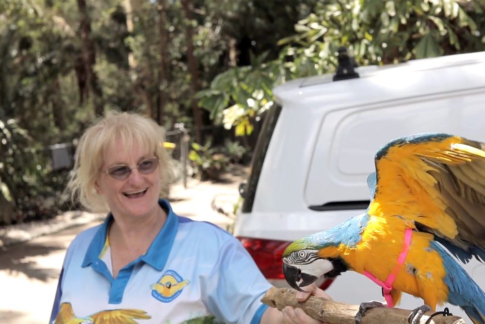 Usher Cup 23 - 10 for 10k - The Sanctuary