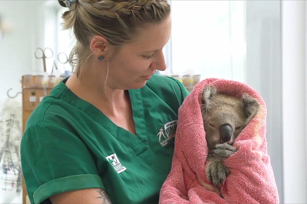 Usher Cup 23 - CWH 5